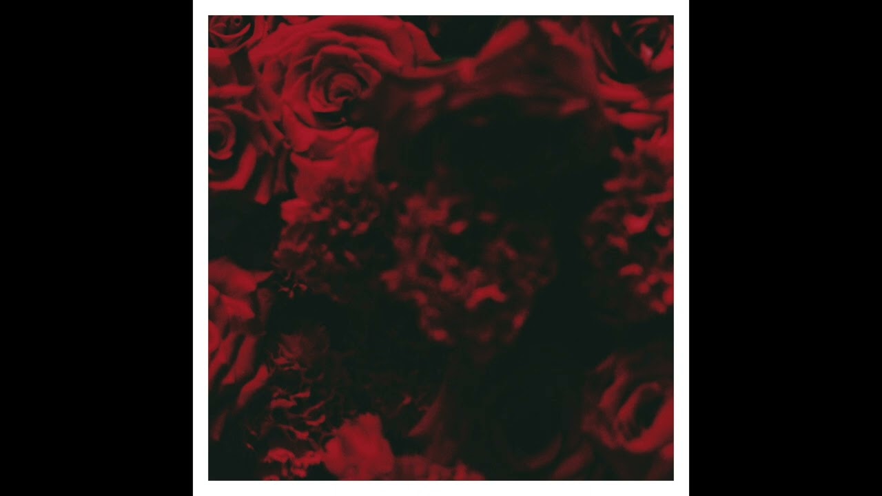 알레프 (ALEPH) - 많은 사랑을 했나