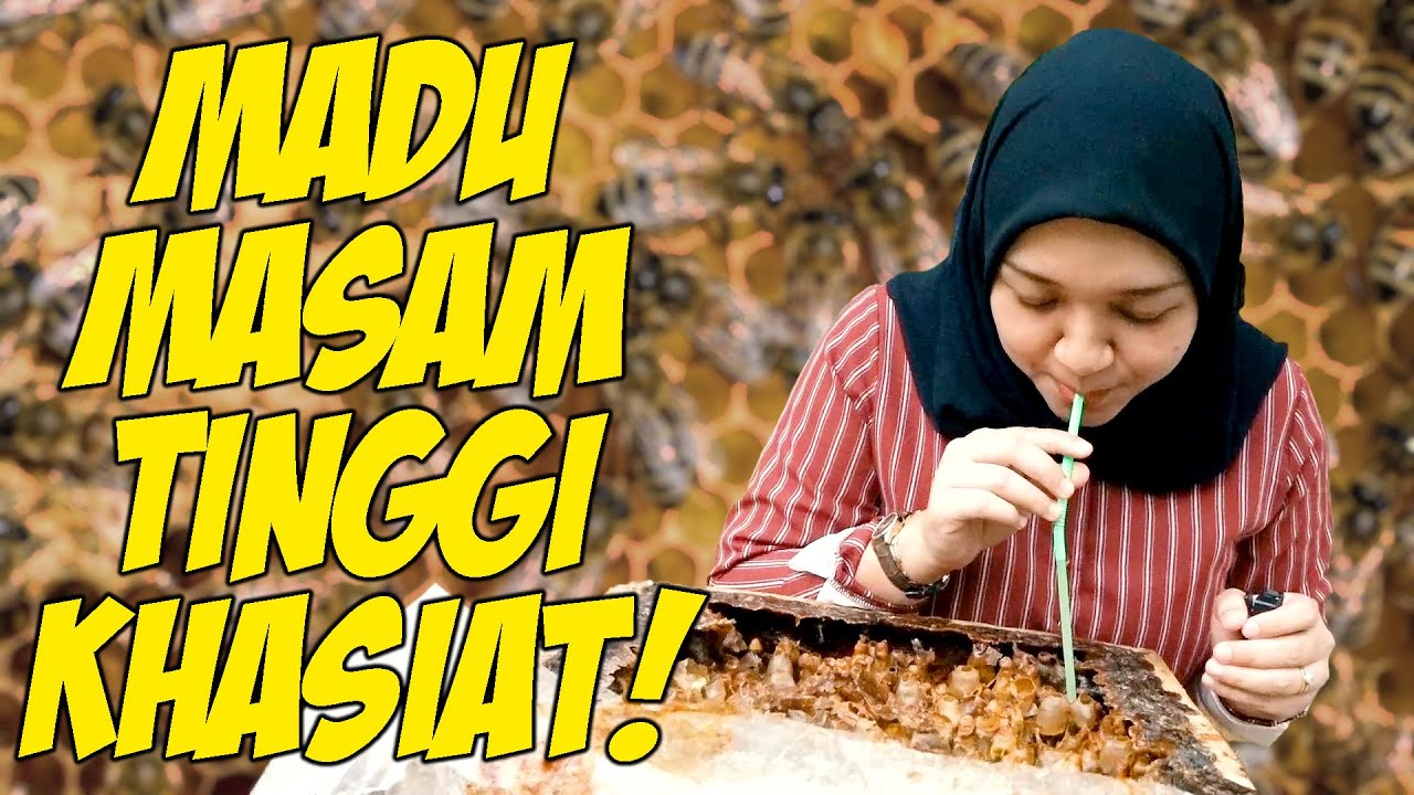 PERSONA PAHANG: MADU KELULUT
