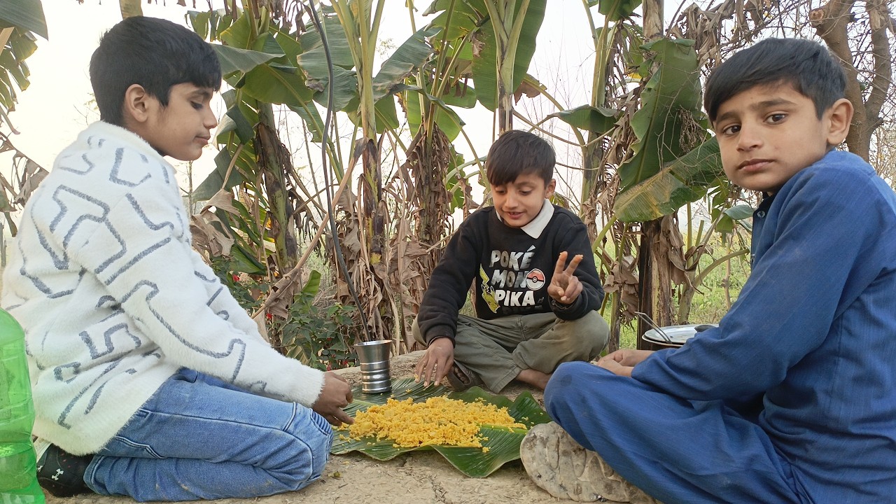 Cooking Mix Vegetable Pulao in Fields 😍 | Village Desi Food Vlog