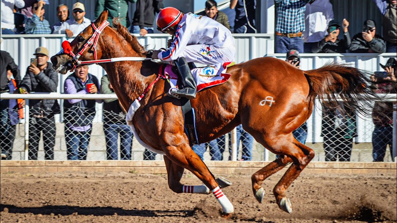 EL COMANDANTE Vs EL GOLDEN, La Carrera Del Año En México!!! Satevo Race Track Chihuahua Mex.