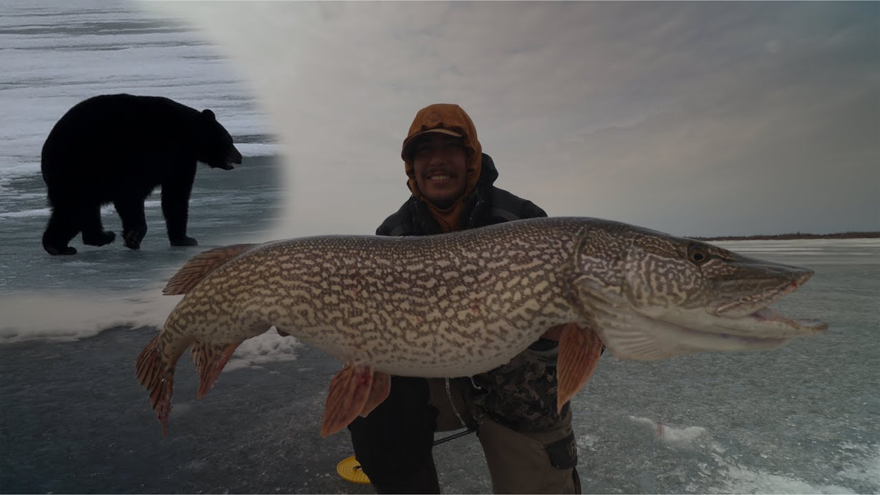 Craziest Encounter While Ice fishing! (Amazing underwater footage)