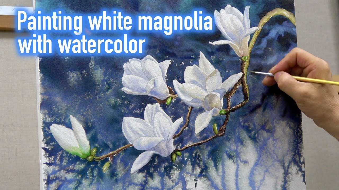 김영철 교수 수채화 꽃 그리기 - 하얀 목련 Watercolor white magnolia painting process tutorial [speed painting]