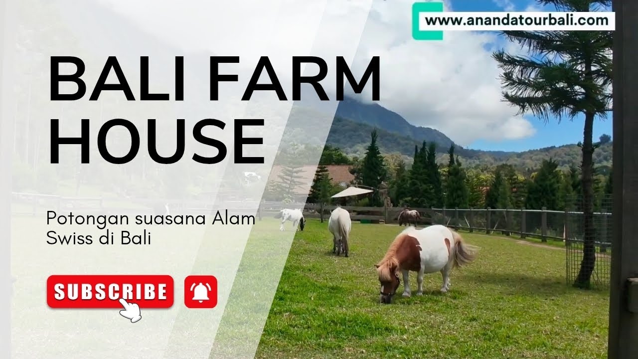 “Bali Rasa Swiss?! Eksplor Bali Farm House Bedugul Bareng Andin 🦙 | Hidden Gem Bali”