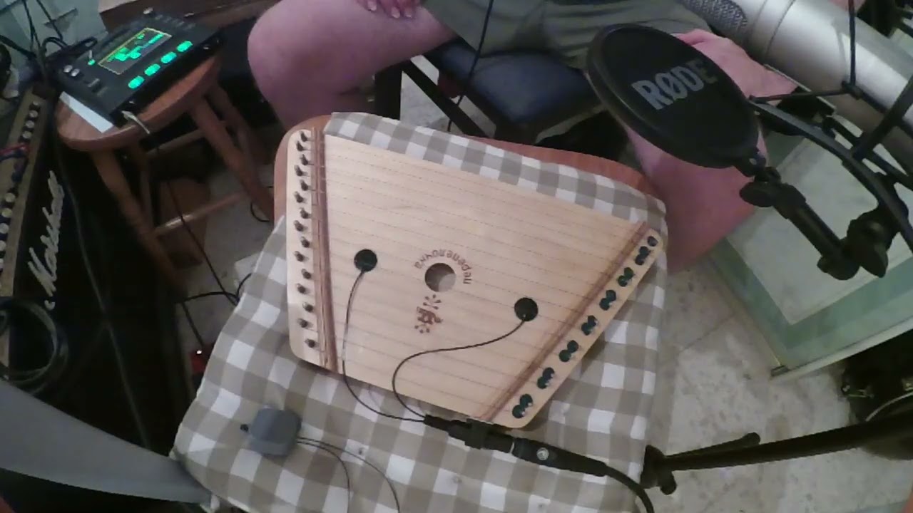 Gusli Psaltery in Dm