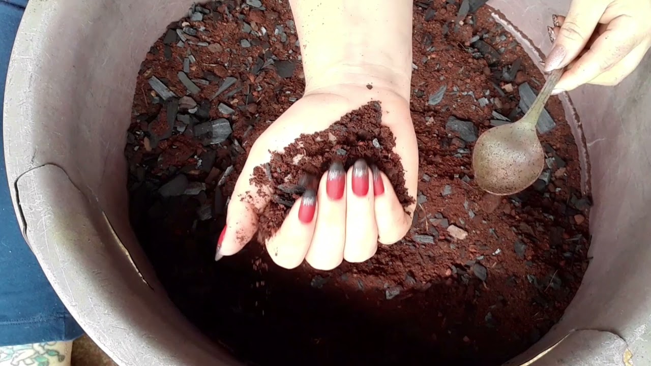 SUBSTRATO BARATO! ESSE CABE NO SEU BOLSO 🥰 RESULTADO EXCELENTE!!