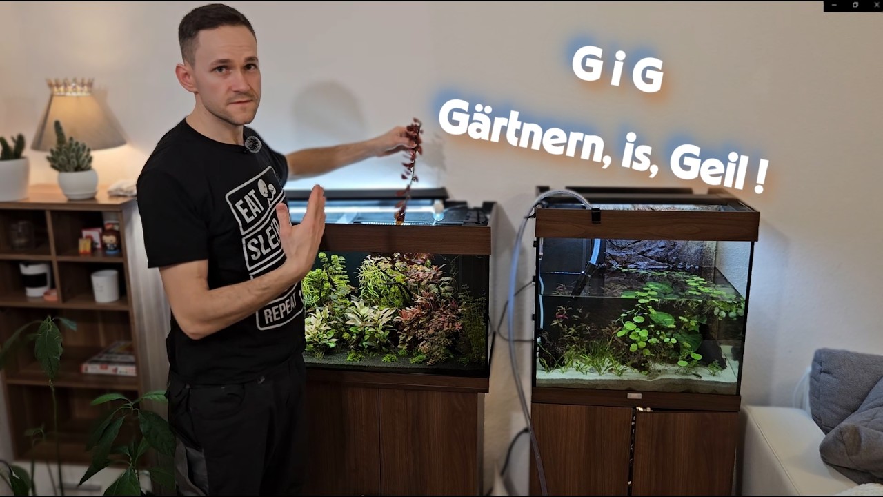 Wasserwechsel, Aquaristik-Talk & erster Pflanzenschnitt 😄🐟 + Garnelen gesucht