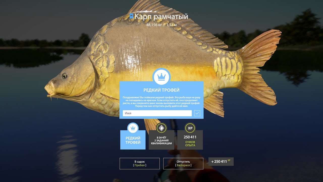 Русская рыбалка 4. Russian fishing 4. Карп рамчатый Синий Трофей. Точка 45:84 Клипса: 35.