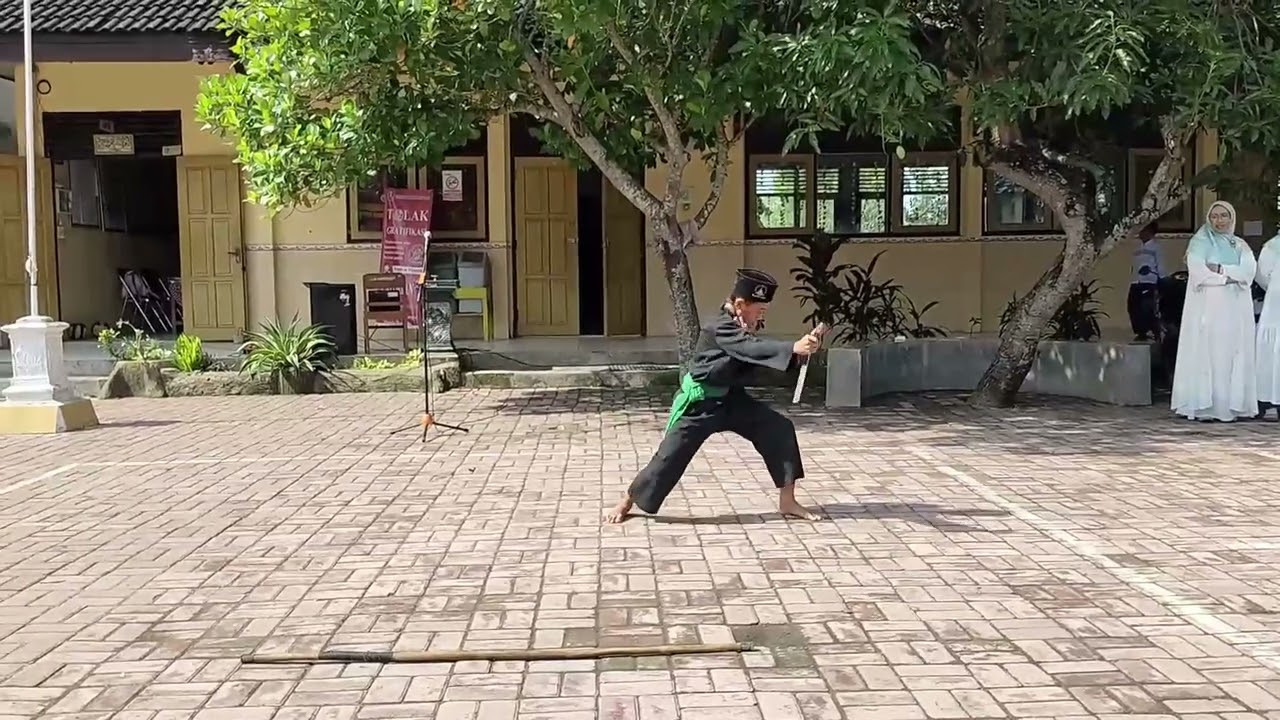 SENI PENCAK SILAT TUNGGAL    #harapanibupertiwi