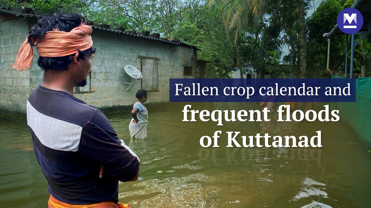 Flooded forever? Kuttanad colonies remain submerged for months