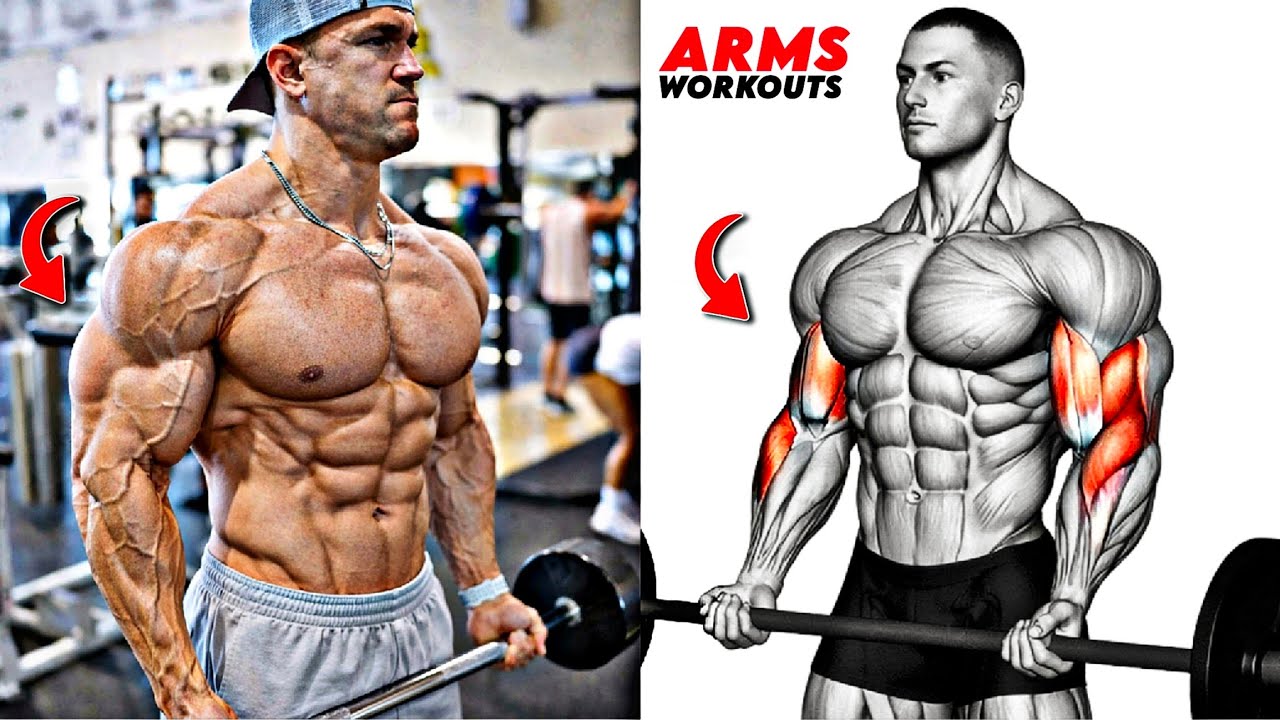 8 обязательных упражнений для бицепсов и трицепсов для максимального роста мышц рук 💪