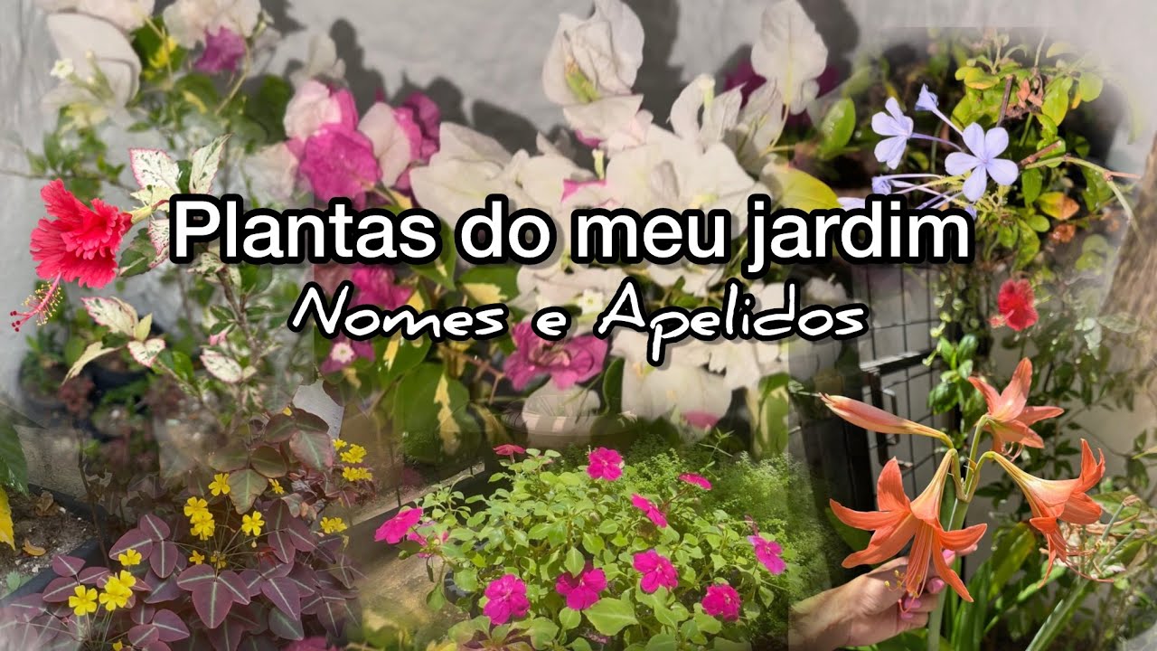 Todas as plantas do meu jardim - nomes e apelidos 🏡🪴🪏✨