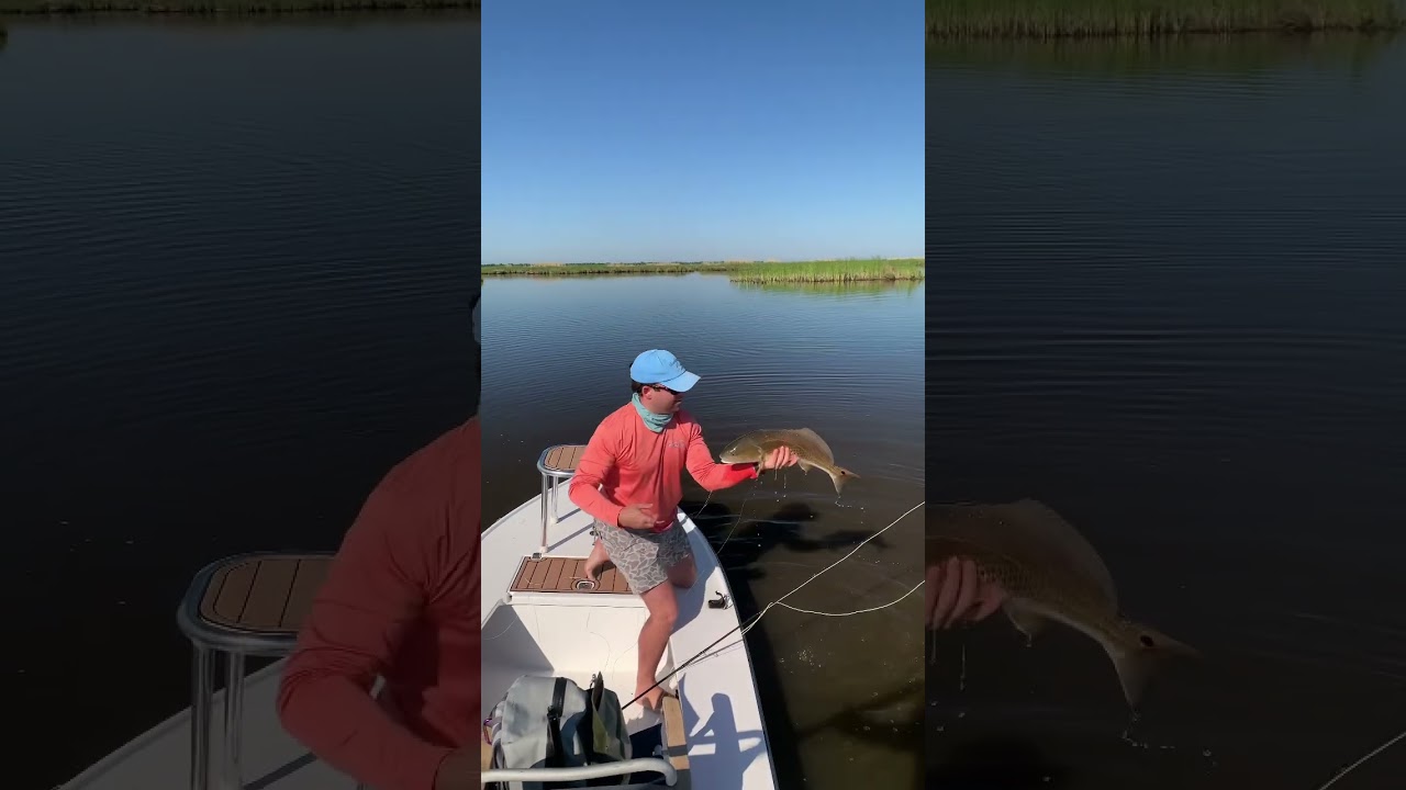 Fly fishing for redfish in the marsh
