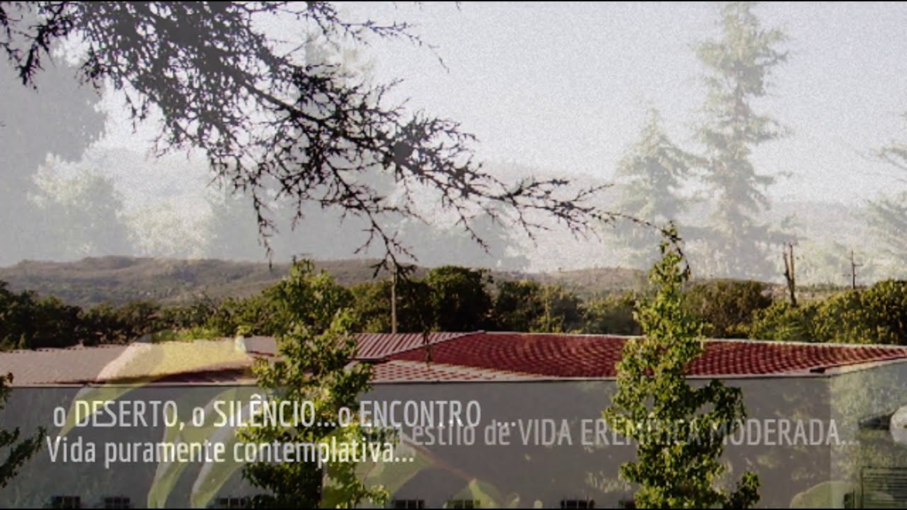 VIDA DE CARMELITA DESCALÇA  - I