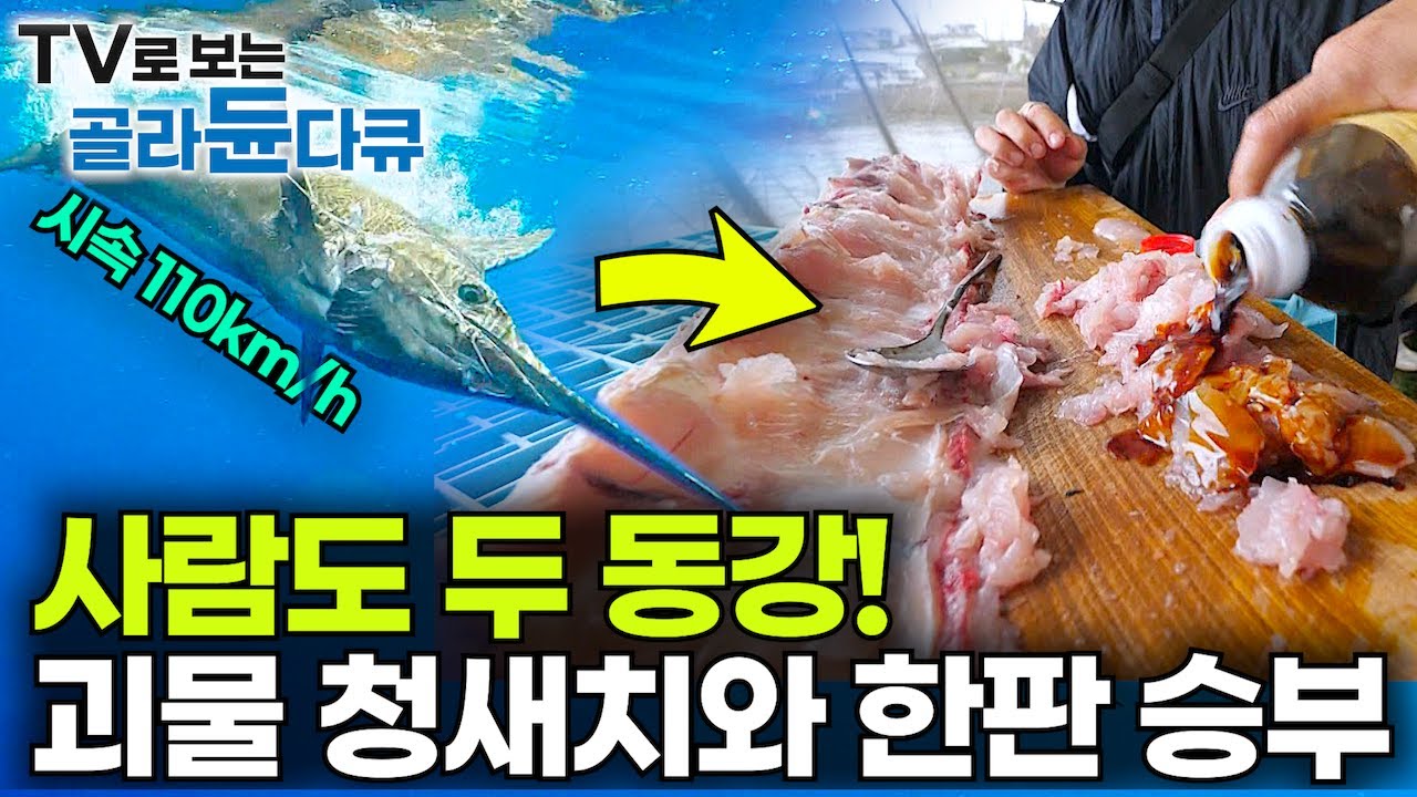 ✨시속 110km 청새치 잡아서 요리까지!✨영화보다 짜릿한 바다의 명승부┃괴물 물고기와 78세 할아버지의 목숨을 건 한판 승부┃일본 레전드 어부 청새치잡이┃인간과 바다┃골라듄바다