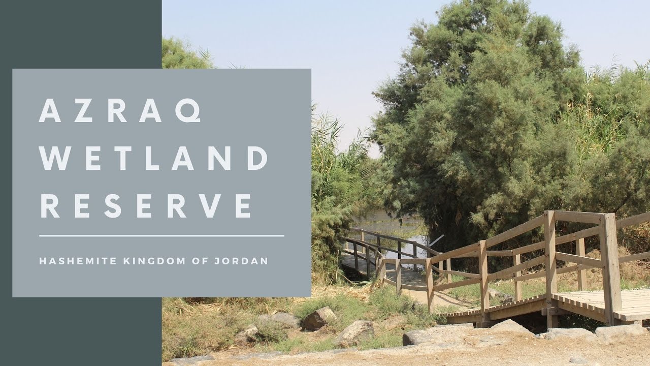 Azraq Wetland Reserve Part 1