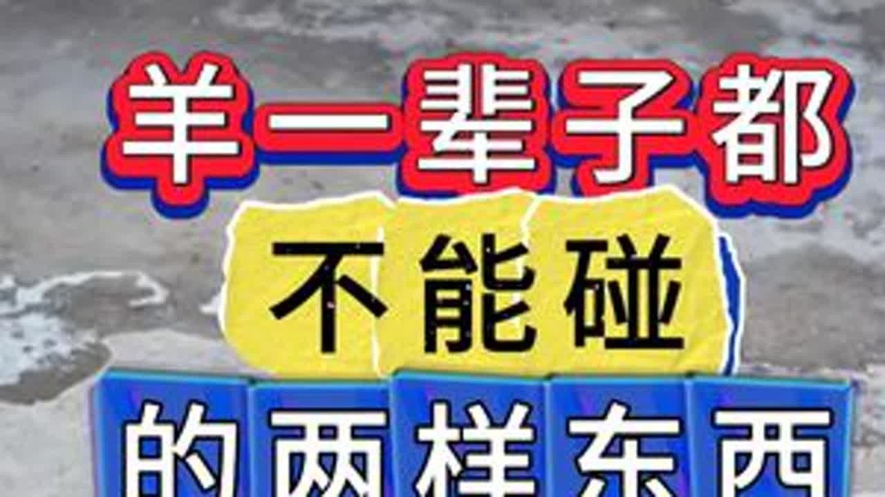 #养牛#牛羊养殖#新手养牛#养牛人