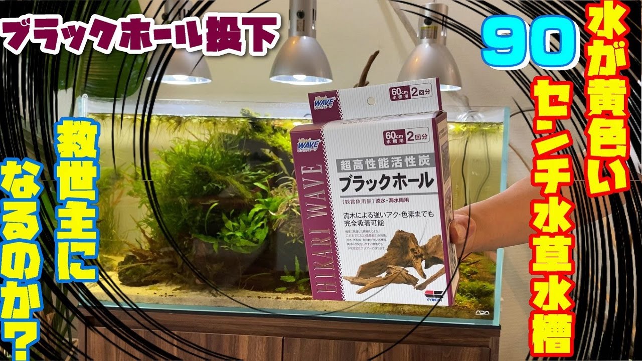 【水草水槽】90㎝水草水槽の水が黄色い原因は？(ブラックホール投下、果たして効果あるのか？)