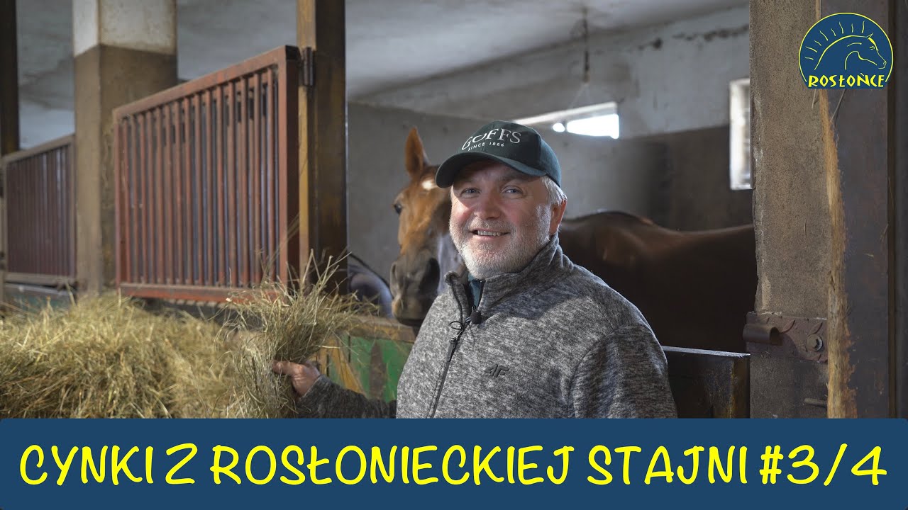 Adam Wyrzyk Cynki Trenera na 3 i 4 dzień wyścigowy 8 i 9 05 2021 r  Stajnia Rosłońce