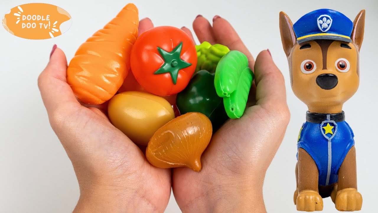 PATRULHA CANINA aprendendo as VERDURAS!