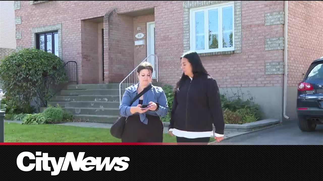 Did any of Montreal's mayoral candidates bring a 'buzz' to the campaign?