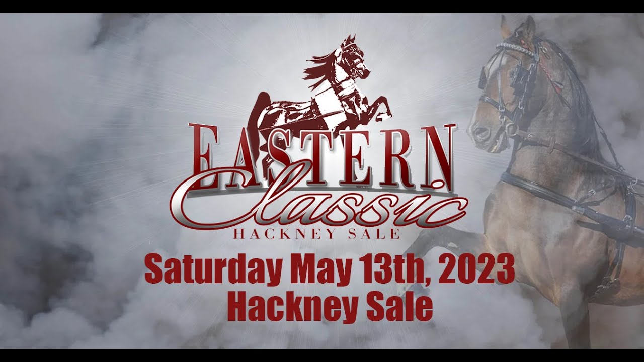 2023 Eastern Classic Hackney Sale - Hackney Sale