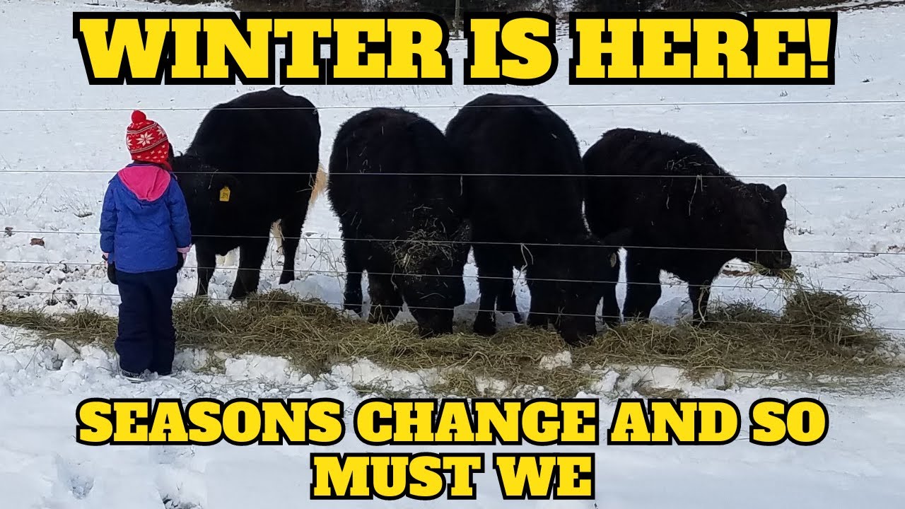 Winter Farm Prep at Longbottom Farm (Adapting Our Farm for Winter)