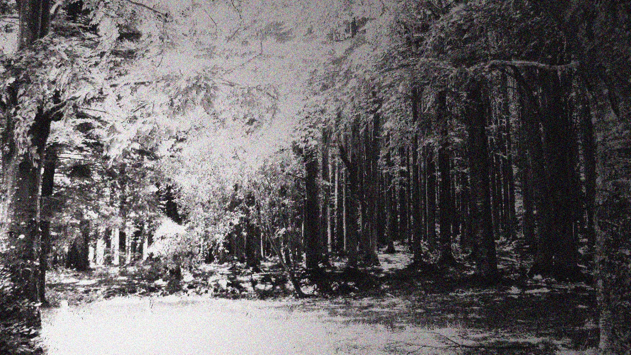 Beatrik -  Eternal Rest