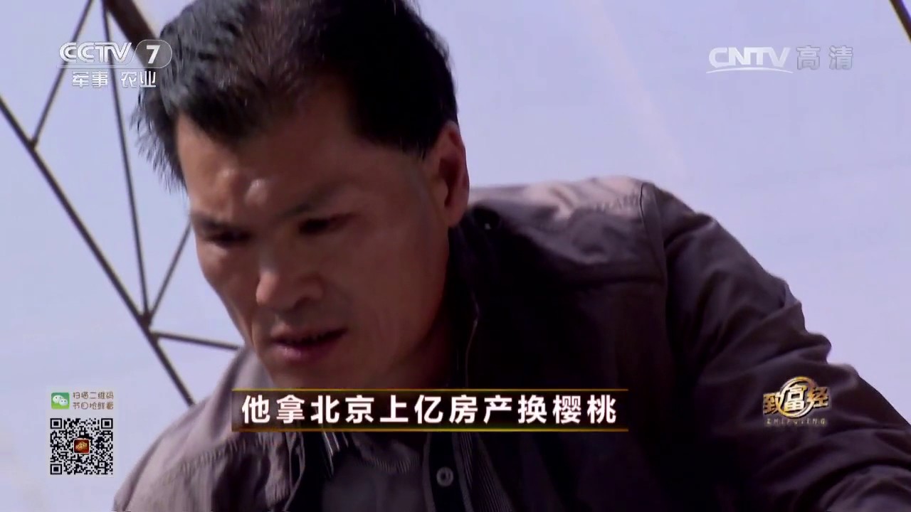 20170424 致富经  他拿北京上亿房产换樱桃