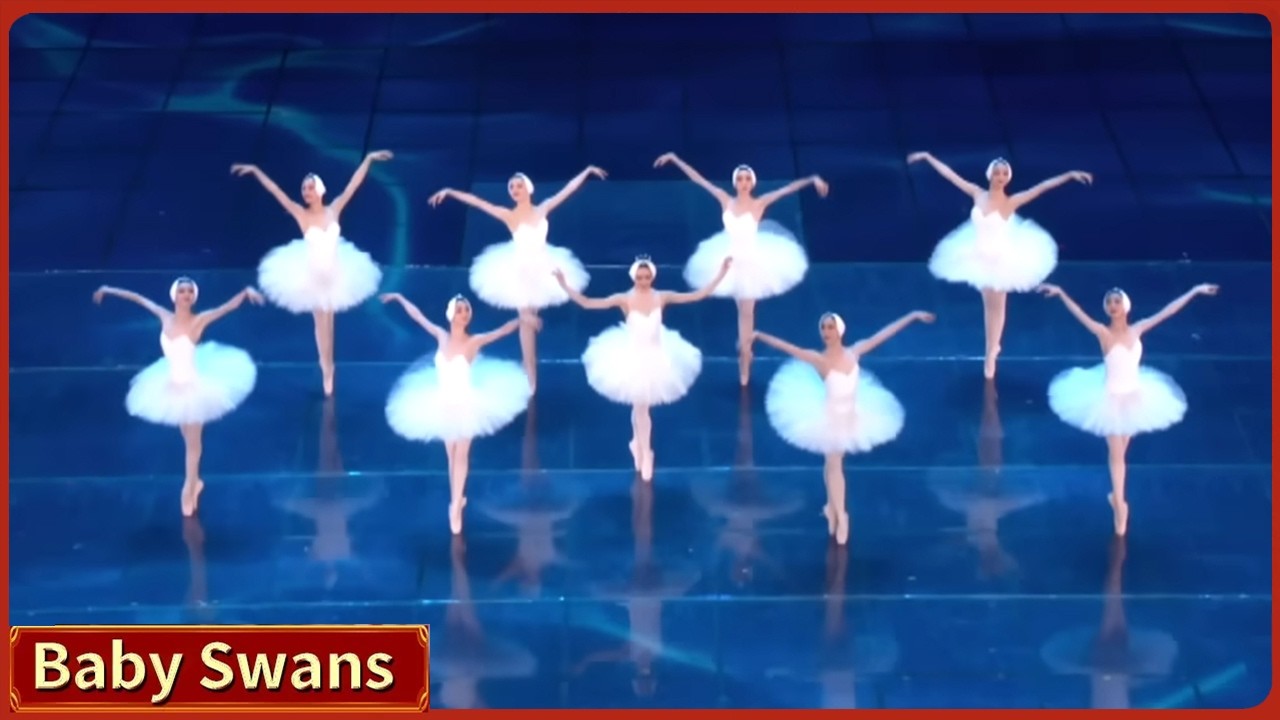Baby Swans | 2024 CMG Spring Festival Gala