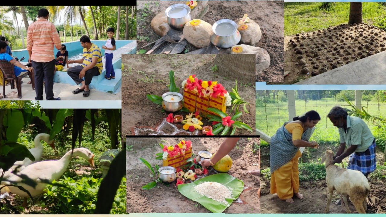 After long years we did muneshwara pooja in our farm house /Family time
