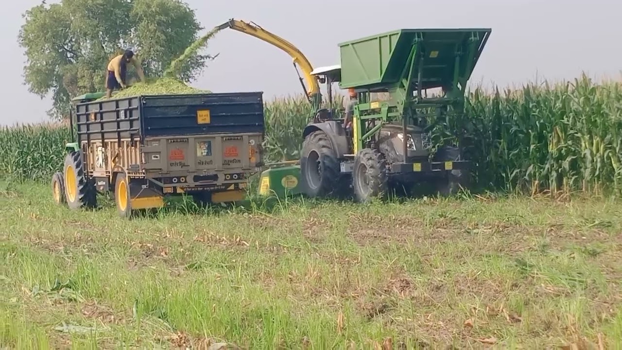Corn da silage 🌽//U-power silage machine//Sonalika 90hp