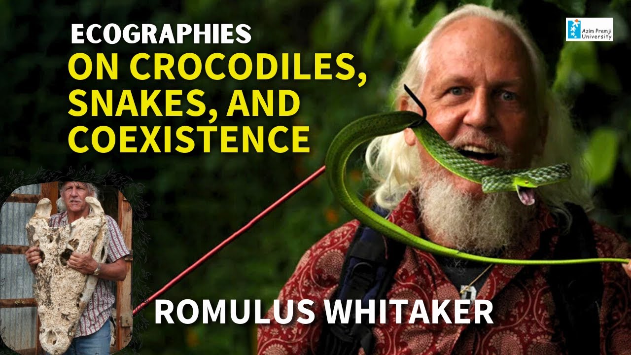 On Crocodiles, Snakes, and Coexistence