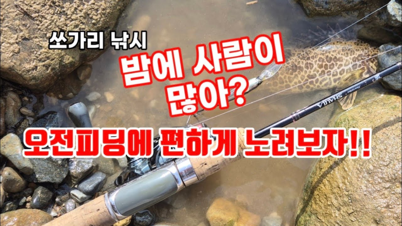 단양 쏘가리낚시 하덕천 오전피딩도 오케이!