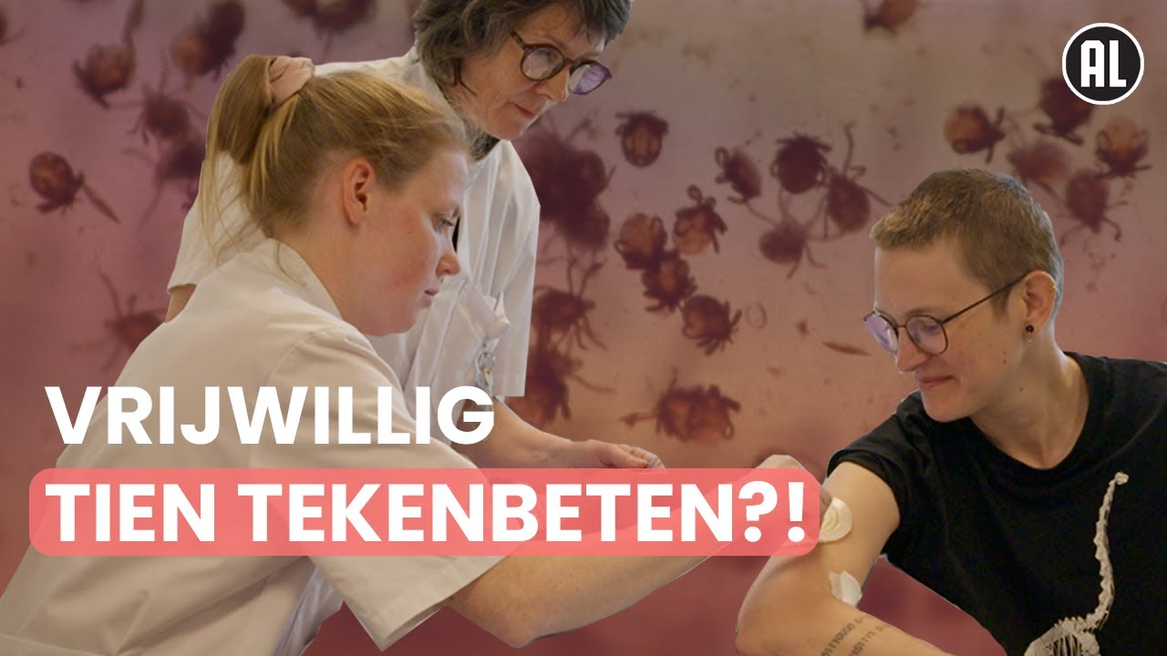 Steeds meer teken: kan een vaccin hun beet voorkomen?