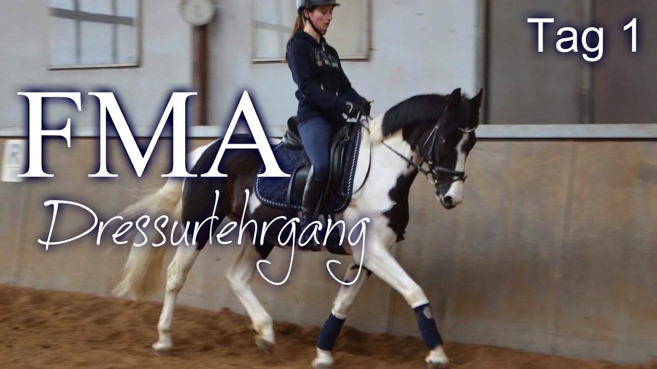 FMA // Dressurlehrgang Tag 1