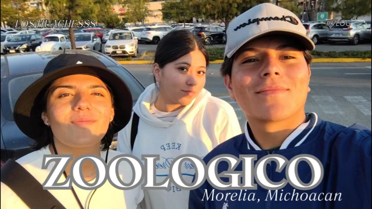 Vlog zoológico