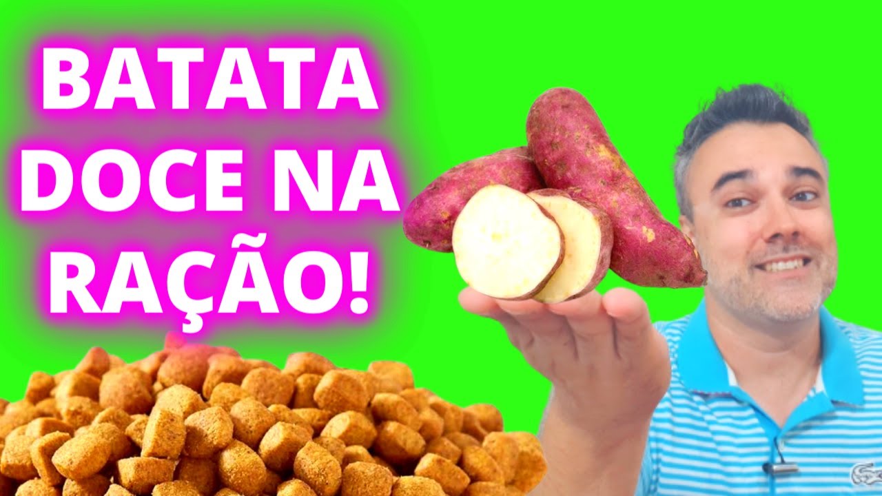 BATATA DOCE na ração!!