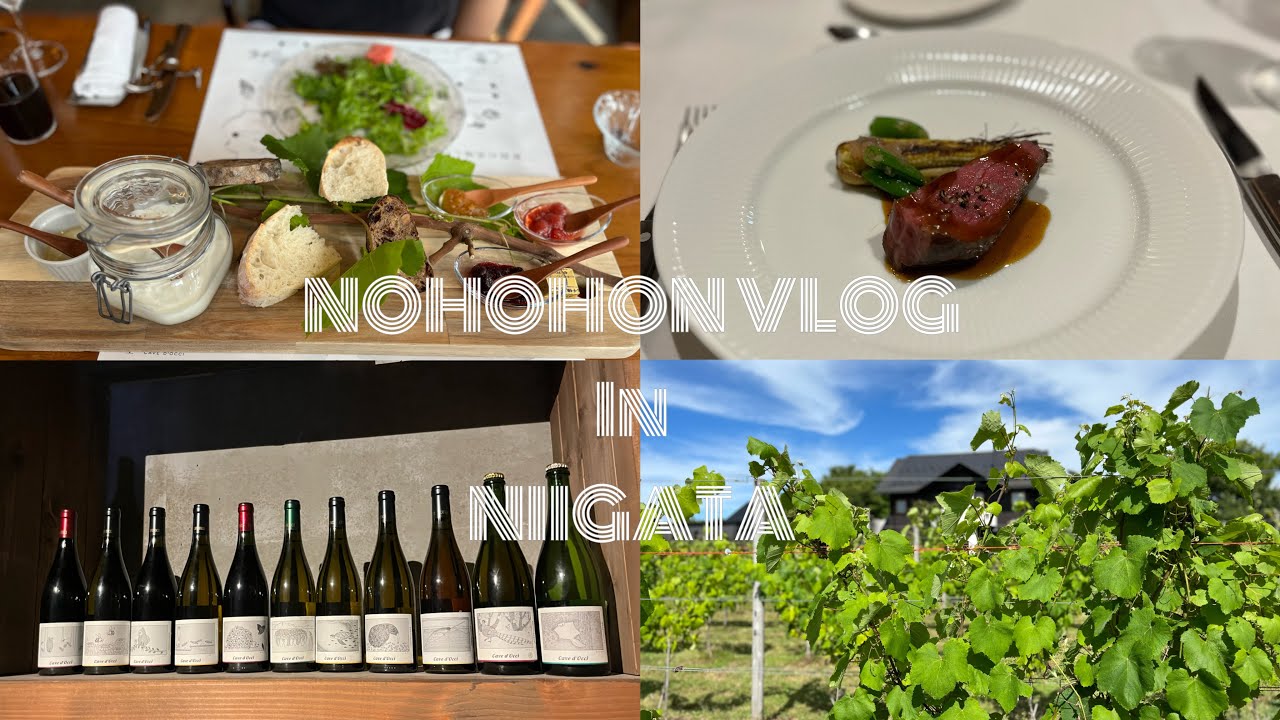 [NOHOHON vlog]アラフィフ新潟の旅｜ワイナリーに泊まる CAVE D`OCCI WINERYS STAY TRAVIGNE｜新潟は美味しいもので溢れてる｜大人旅