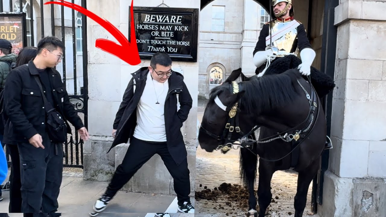 Stubborn Tourists Deliberately Flouts the New White Rule to Provoke King's Guards