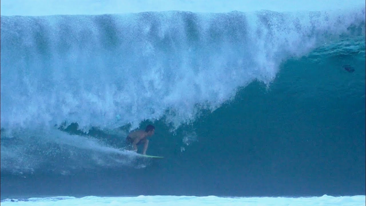 Mason Ho Retro Fish