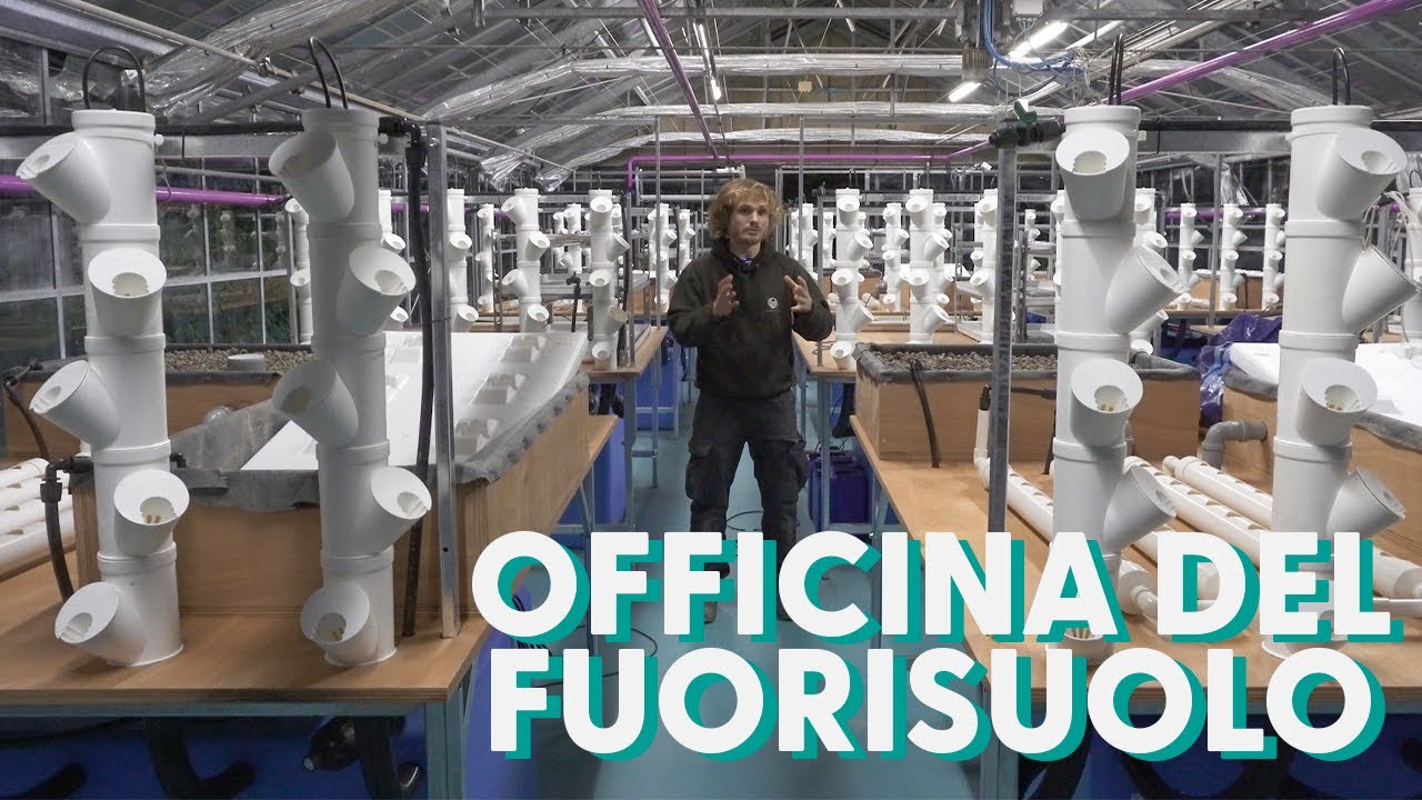 OFFICINA DEL FUORI SUOLO - idroponica, acquaponica e molto altro