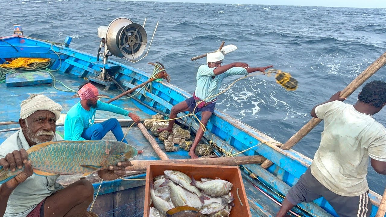 First Day Great Day !  We Caught Lot of variety fishes in Deep Sea Fishing