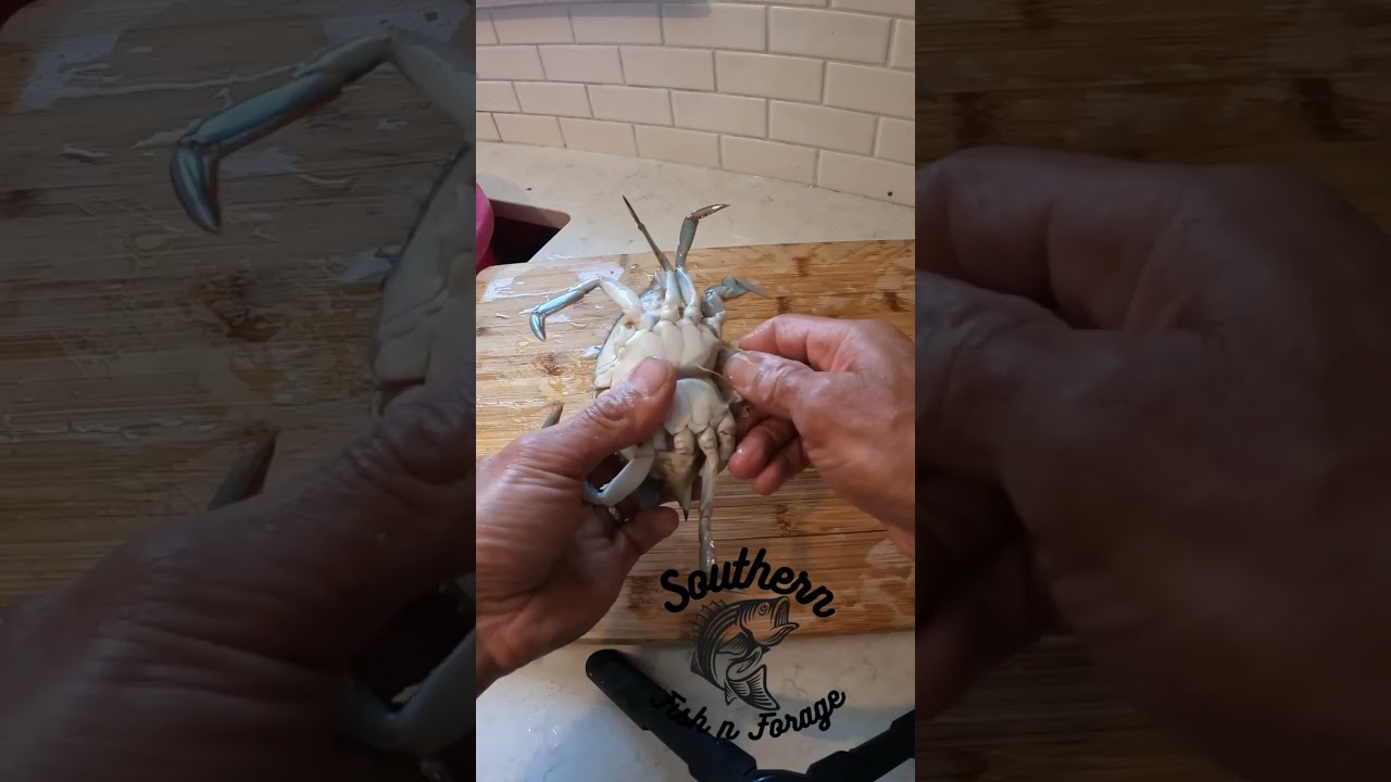 EASY Way to Clean TASTY Crabs