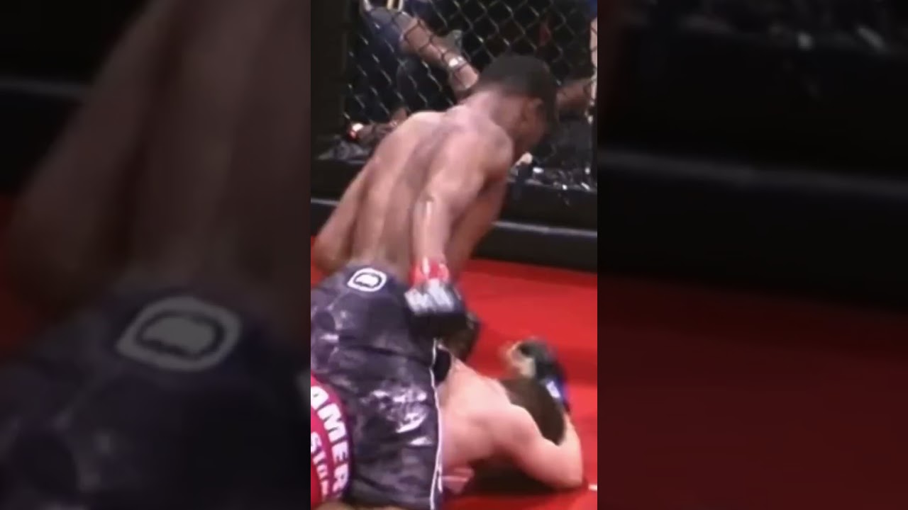 #mixedmartialarts