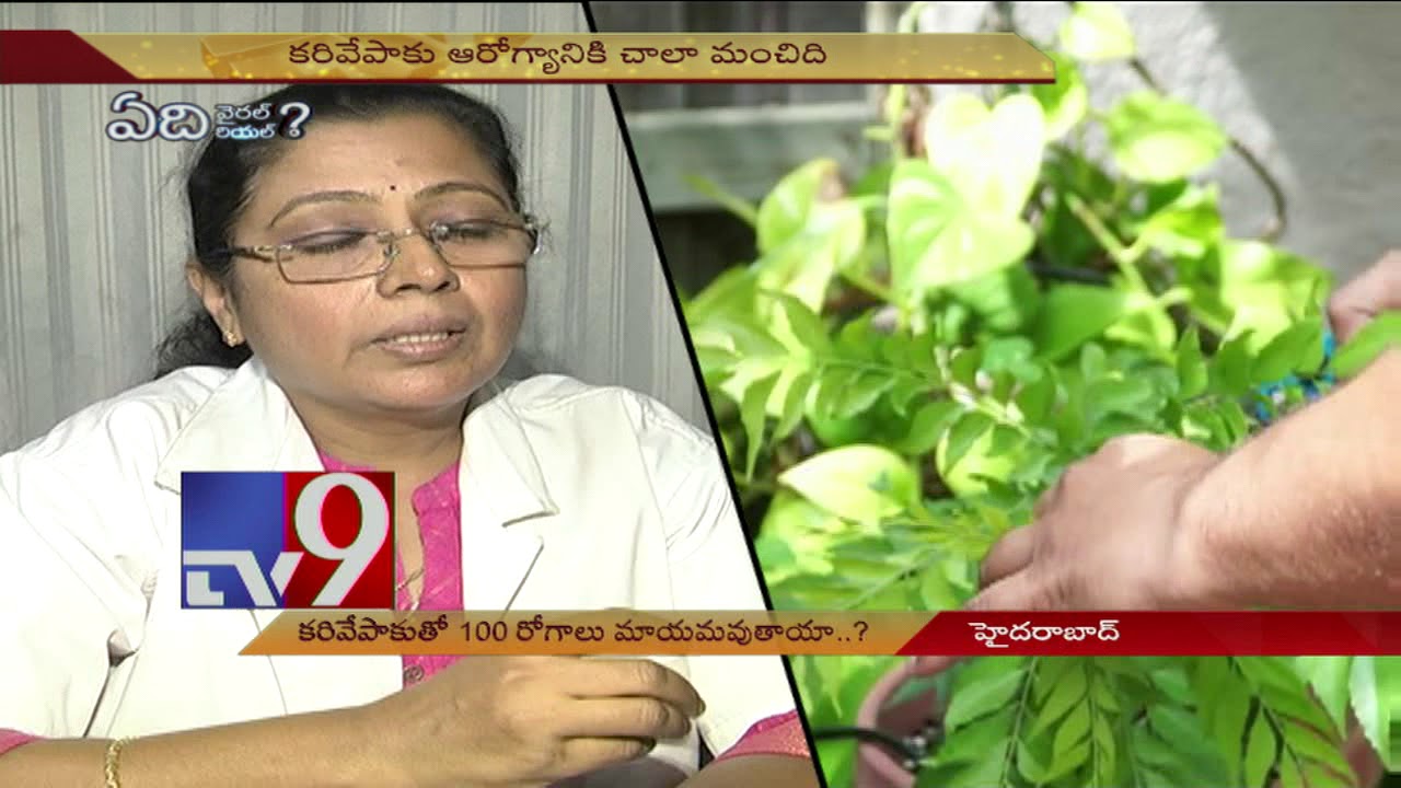 Eating Curry Leaves on early morning good for health? - TV9
