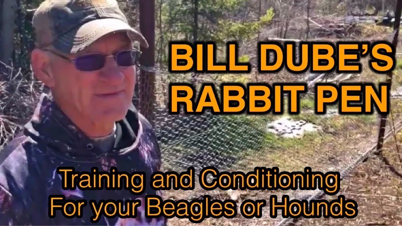 Bill Dube's Rabbit Pen:  Great for Beaglers and Houndsmen