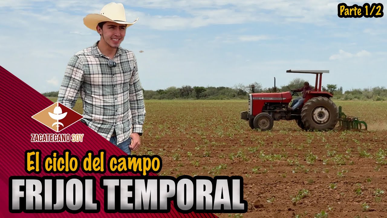 BENDICIÓN DE LA LLUVIA los temporales así van
