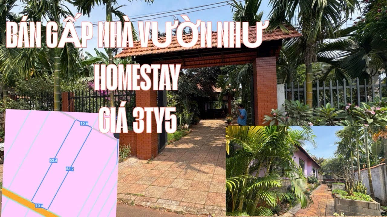 BÁN GẤP NHÀ VƯỜN GẦN CHỢ LONG TÂN NHÀ CÓ HỒ BỞI ĐỂ LẠI HẾT NỘI THẤT 