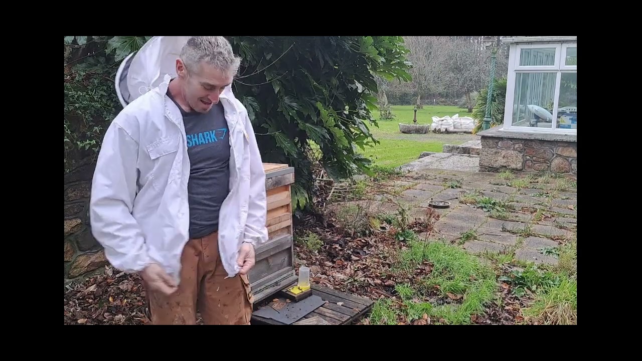 Why This Hive is in Lockdown (And Avoiding the Purple Welts)