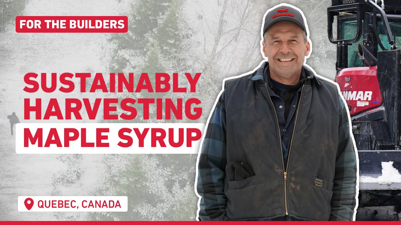 Yanmar CE - For the builders: the maple syrup forest in Canada